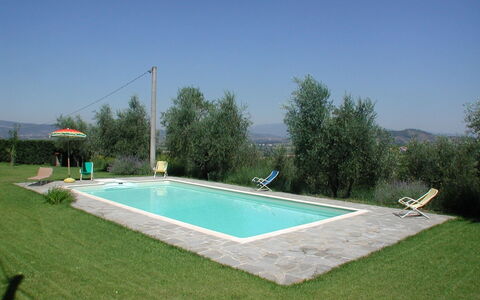 Olivo: Cielo, Acqua, Pianta, Costruzione, Lotto, Rettangolo, Shade, Tempo Libero, Erba, Piscina