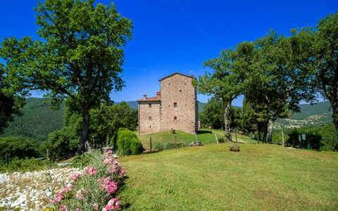 Torre di Vignale: Albero, Paesaggio, Lotto, Area Rurale, Parco