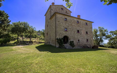 Torre di Vignale: Albero, Paesaggio, Lotto, Area Rurale, Parco