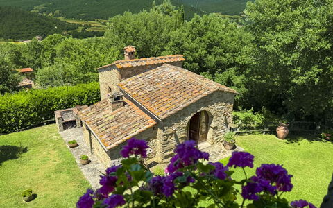 Torre di Vignale: Albero, Paesaggio, Lotto, Area Rurale, Parco