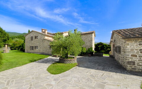 Casale Lorenzo: Casa, Arbusto, Area Rurale, Villetta, Estate, Villaggio, Agriturismo, Giardino, Landscaping