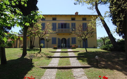 Poggio Falcone: Pianta, Cielo, Costruzione, Proprietà, Finestra, Botanica, Albero, Casa, Erba, Lotto