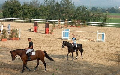 Cavalieri