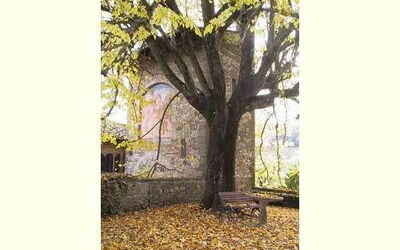 Accommodation:&nbsp;San Martino