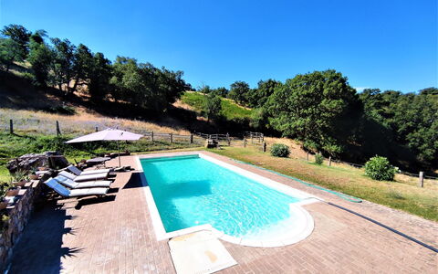Casalini: Water, Sky, Plant, Swimming Pool, Nature, Tree, Rectangle, Grass, Body Of Water, Shade