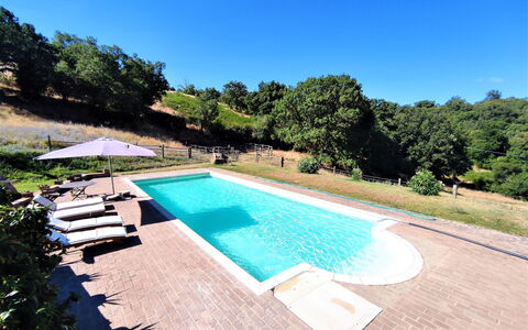 Casalini: Water, Sky, Plant, Property, Swimming Pool, Nature, Azure, Tree, Rectangle, Outdoor Furniture