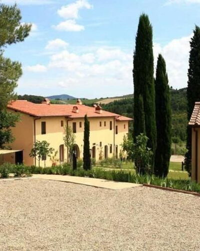 Rosmarino