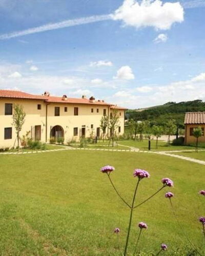 Corbezzolo