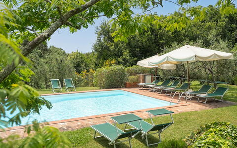 Centolivi 14: Garden, Resort, Outdoor Furniture, Estate, Shade, Lawn, Eco Hotel, Hacienda, Landscaping, Yard