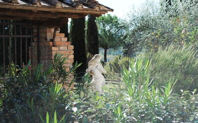 In the gardens