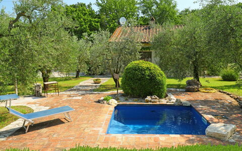 Nest: Plant, Water, Property, Sky, Tree, Natural Landscape, Land Lot, Grass, Landscape, Outdoor Bench