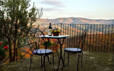 The Patio