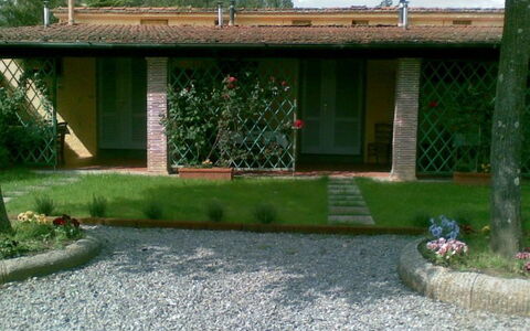 Esterno