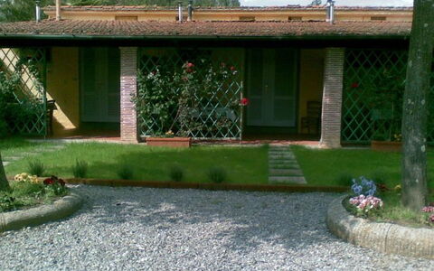 Esterno