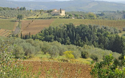 Spicciano 8