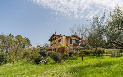 Casa Gianna: Green, Vegetation, Shrub, Rural Area, Landscape, House, Home, Land Lot, Cottage