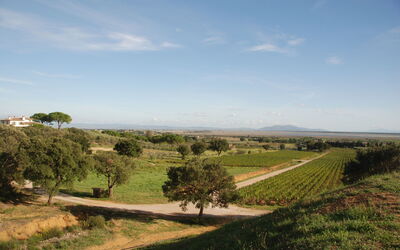 Castelrile 14