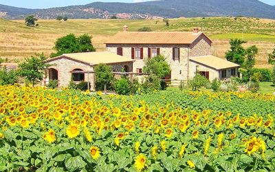 Casa vacanza Casale Sugherino - Scansano, Toscana, Italia