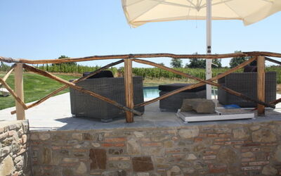 vigneto sulla piscina