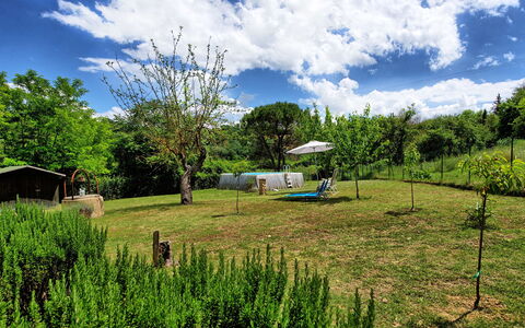 Villa Diletta: Paesaggio Naturale, Vegetazione, Verde, Proprietà, Lotto, Pascolo, Erba, Riserva Naturale, Pascolo, Ambiente Naturale