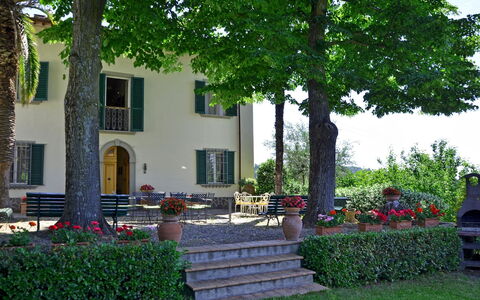 Villa Buonaparte: Proprietà, Casa, Costruzione, Casa, Immobiliare, Albero, Estate, Cortile, Zona Residenziale, Cortile