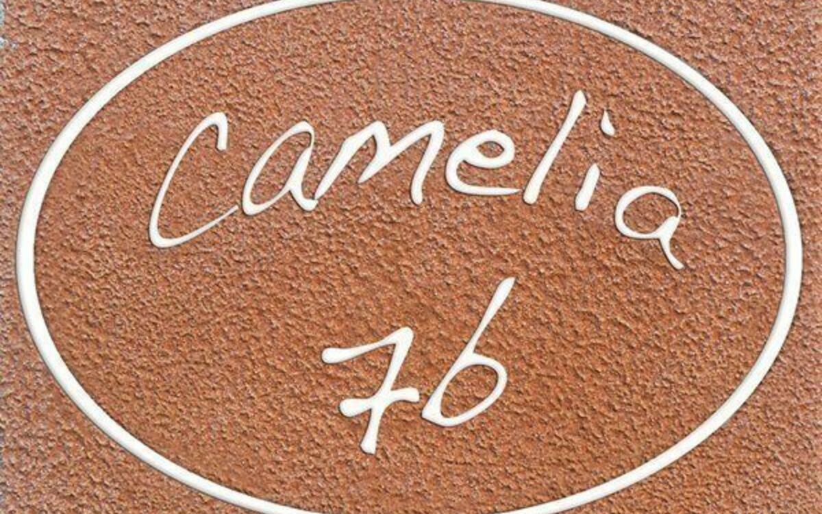 Alloggio:&nbsp;Camelia