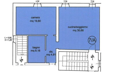 Accommodation:&nbsp;Mimosa