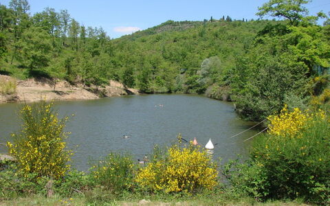 Civitella: Corpo D'Acqua, Risorse Idriche, Paesaggio Naturale, Natura, Vegetazione, Riserva Naturale, Acqua, Banca, Lago, Ambiente Naturale