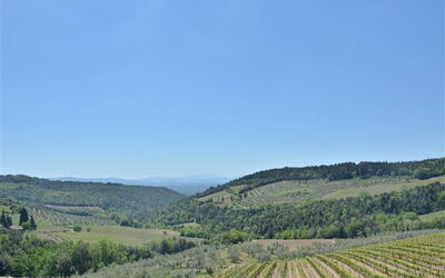 Alloggio:&nbsp;Il Mandorlo