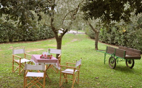 Casetta Ponticelli: Tavolo, Mobilia, Tavolo Esterno, Erba, Albero, Cortile, Prato, Backyard, Giardino, Mobili Da Esterno