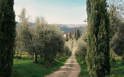 Villa Cerchi