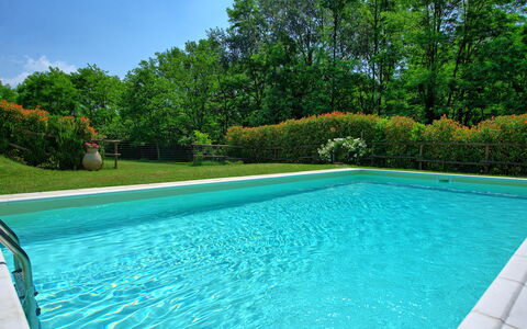 Casa Ovile: Acqua, Pianta, Cielo, Piscina, Verde, Azzurro, Rettangolo, Shade, Albero, Erba