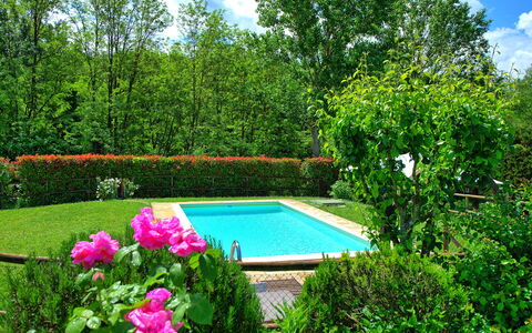 Casa Ovile: Acqua, Pianta, Nube, Fiore, Cielo, Natura, Botanica, Paesaggio Naturale, Albero, Piscina