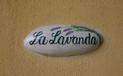 Alloggio:&nbsp;Lavanda