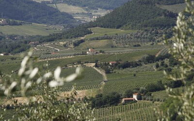Alloggio:&nbsp;Pruno