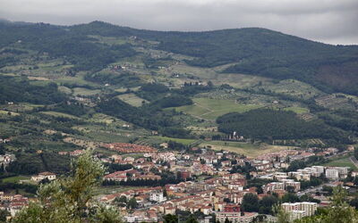 Alloggio:&nbsp;Pruno