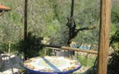 Accommodation:&nbsp;Salvia