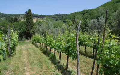 Agriturismo Eustachio