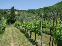 Agriturismo Eustachio