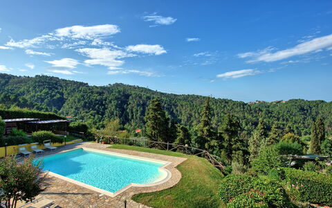 Il Gualdo: Proprietà, Piscina, Paesaggio Naturale, Riserva Naturale, Immobiliare, Estate, Casa, Acqua, Vacanza, Cielo