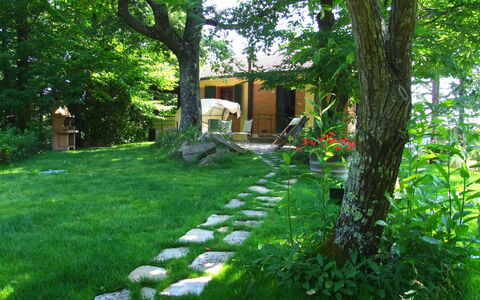 Villa La Quercia: Paesaggio Naturale, Natura, Verde, Cortile, Vegetazione, Erba, Proprietà, Albero, Giardino, Backyard
