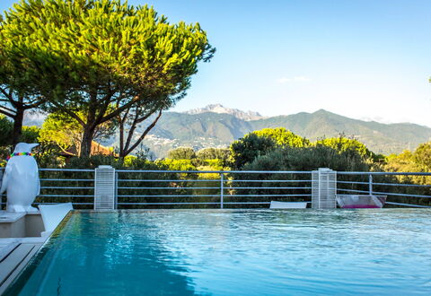 Marina Dei Ronchi Prestige: Nature, Water, Swimming Pool, Property, Sky, Yellow, Tree, Real Estate, Vacation, Leisure