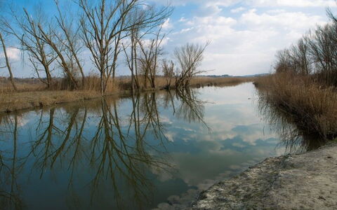 Villa La Fragola: Corpo D'Acqua, Paesaggio Naturale, Acqua, Banca, Risorse Idriche, Ambiente Naturale, Riflessione, Fiume