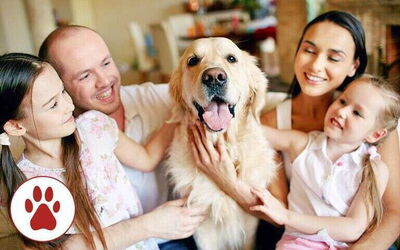 Pet Friendly Villas